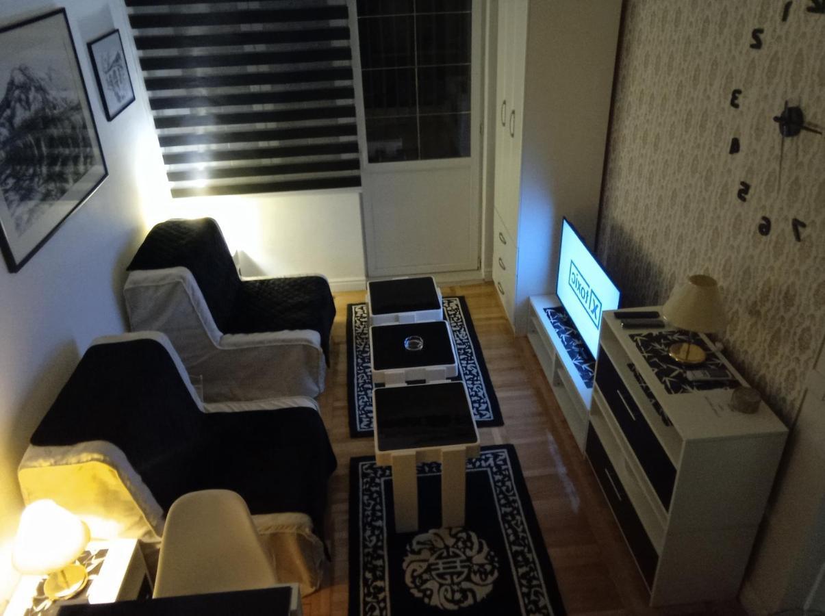 Ducic Apartment 特雷比涅 外观 照片